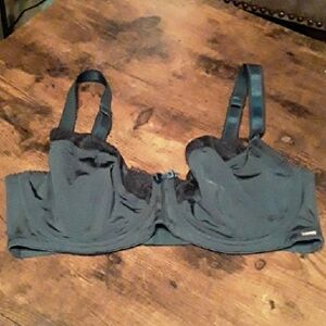 NWOT Dorina 34E Deep Green Sheen Color Unpadded underwire Stunning Sexy Bra